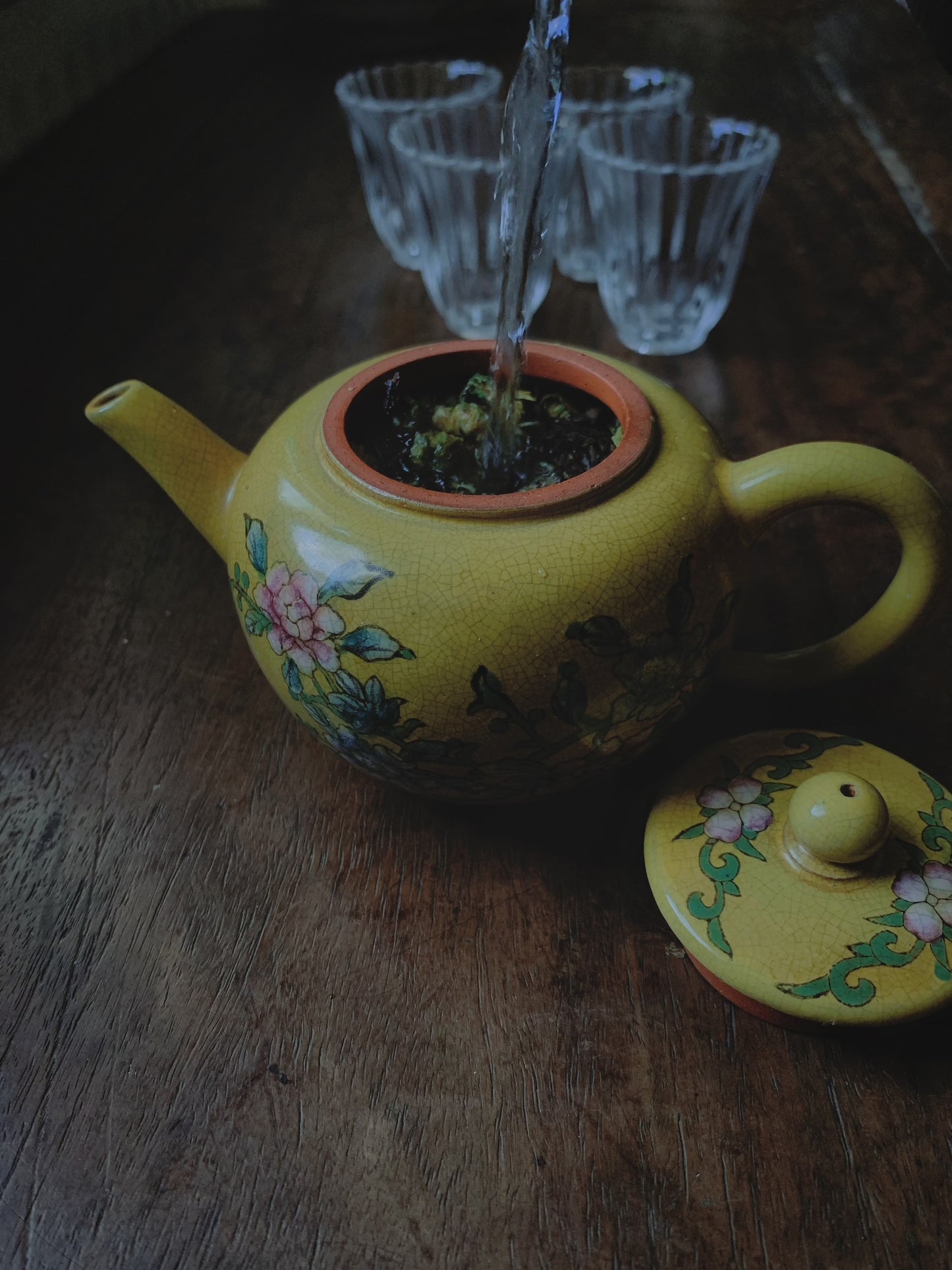 Chrysanthemum puerh (guk pou - 菊普)