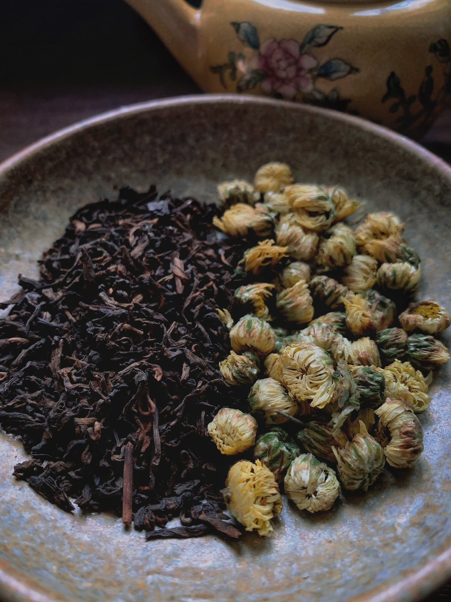 Chrysanthemum puerh (guk pou - 菊普)