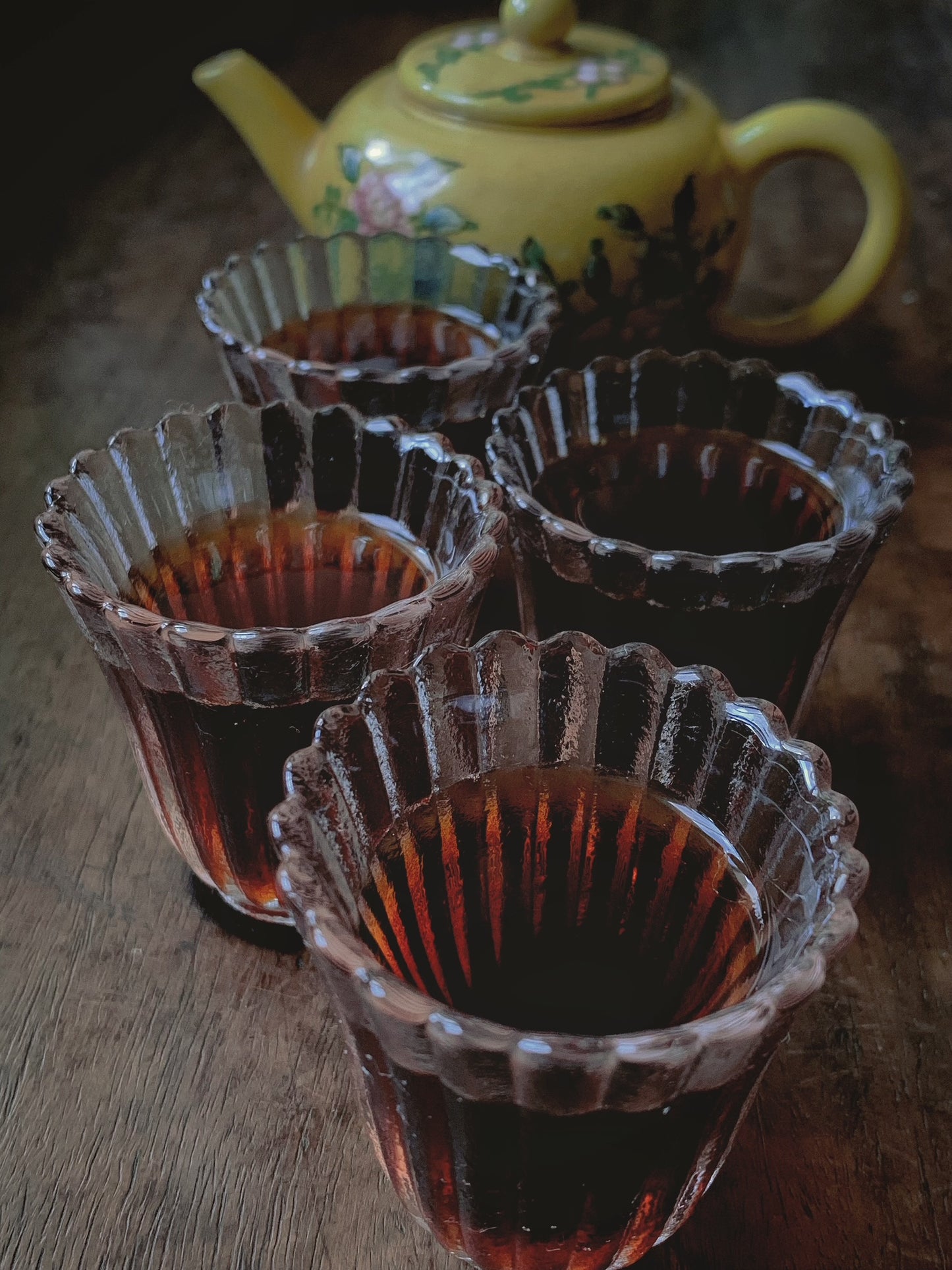 Chrysanthemum puerh (guk pou - 菊普)